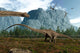 Diplodocus Dinosaurs Graze While Wall Decal