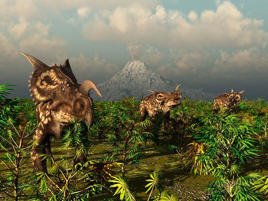 Herd Plant-eating Einiosaurus Roam Wall Decal