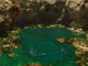 Pair Elasmosaurus Engage Swimming Wall Decal