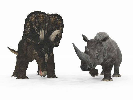 Nedoceratops Compared to Adult Wall Decal
