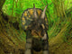 Nedoceratops Wanders Cretaceous Forest Wall Decal