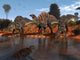 Ouranosaurus Drink Watering Hole Wall Decal