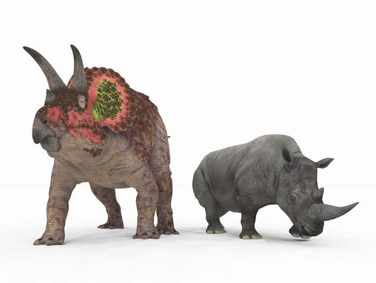 Adult Triceratops Compared to Wall Decal