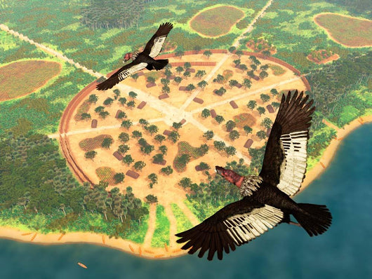 Pair Andean Condors Fly Wall Decal