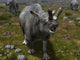 Brontotherium Leaves His Forest Wall Decal