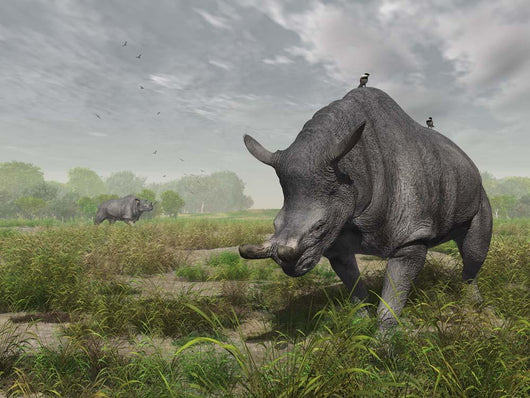 Brontotherium Wander Lush Late Wall Decal
