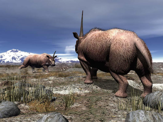 Pair Male Elasmotherium Confront Wall Decal