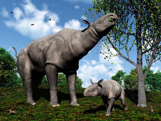 Paraceratherium Mother Grazes Leaves Wall Decal