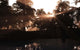 Late Devonian Sun Sets Wall Decal