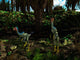 Caudipteryx Wander Prehistoric Landscape Wall Decal