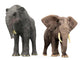 Adult Deinotherium Compared to Wall Decal