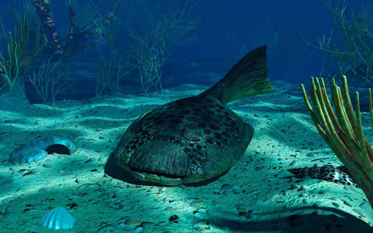 Drepanaspis Bottom Shallow Devonian Wall Decal