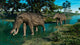 Pair Platybelodon Grazing Shallow Wall Decal