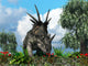 Styracosaurus Samples Flowers Order Wall Decal