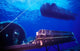 Seal Delivery Vehicle Hovers Wall Decal