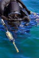 Navy Seal Combat Swimmer Wall Decal Design 3