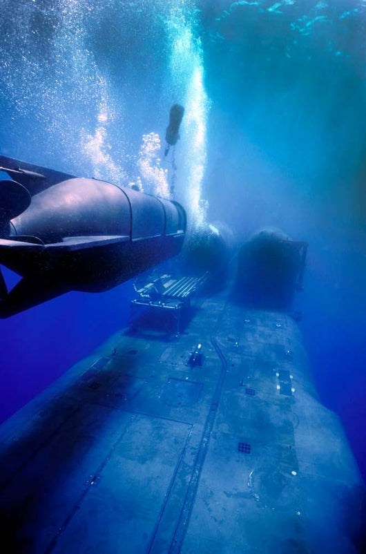 Mk-8 Mod-0 Seal Delivery Wall Decal