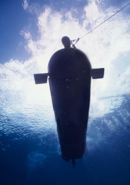 Underwater Mk-8 Mod-0 Seal Wall Decal