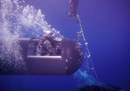Seal Delivery Vehicle Tether Wall Decal